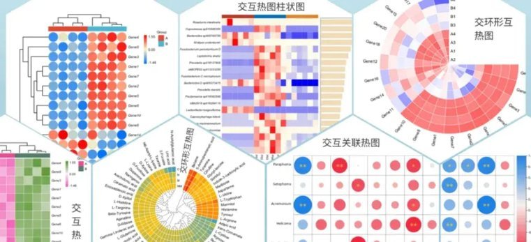 热图中场全覆盖！罗德里本届传球成功率93%，争顶成功率79%