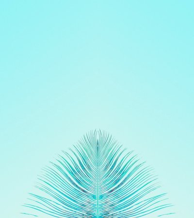 阿森纳官方：与阿联酋航空续签至2033年，延续20年合作关系