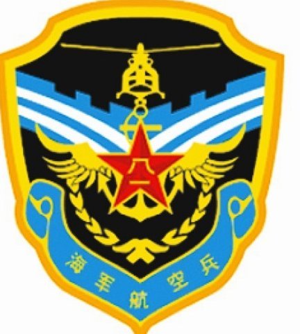 恭喜重庆铜梁龙U11队，获得日本耐克杯冠军